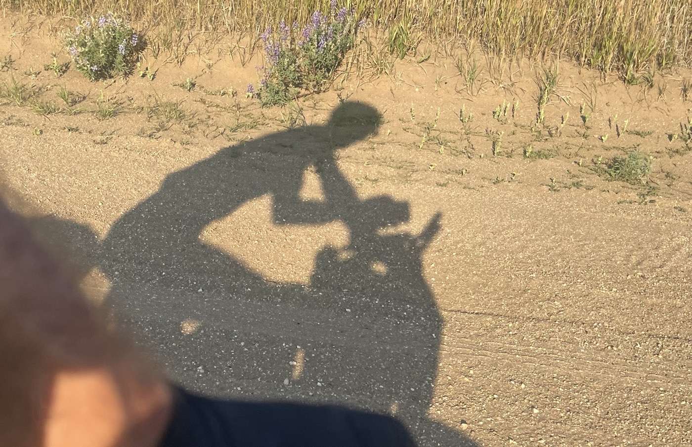 Shadow Play