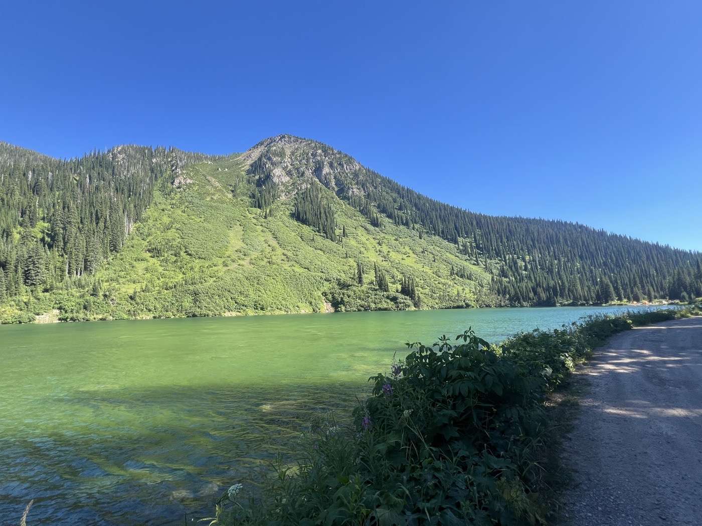 Red Meadow Lake - such a beautiful green!
